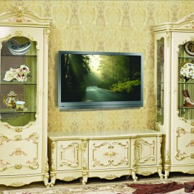 Рафаэлла ТВ зона