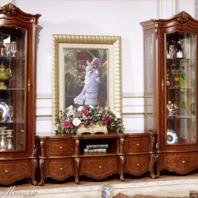 Моника ТВ зона